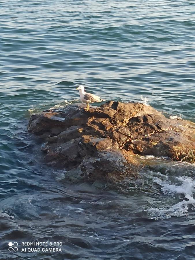 Rapallo Suite Kültér fotó